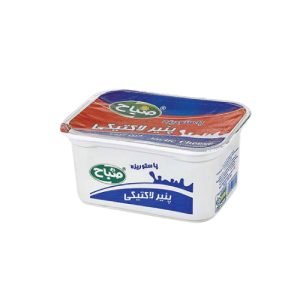 پنیر لاکتیکی 300 گرم صباح